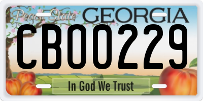 GA license plate CBO0229
