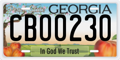 GA license plate CBO0230