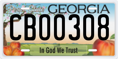 GA license plate CBO0308