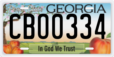 GA license plate CBO0334