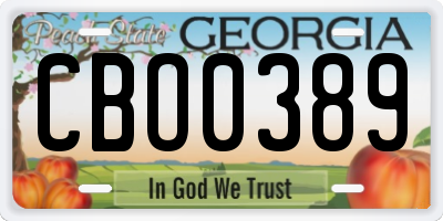 GA license plate CBO0389