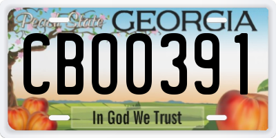 GA license plate CBO0391