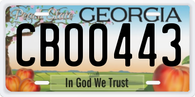 GA license plate CBO0443
