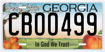 GA license plate CBO0499