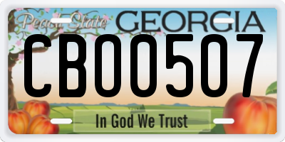 GA license plate CBO0507