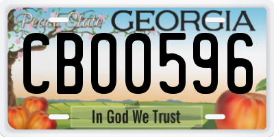 GA license plate CBO0596
