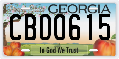 GA license plate CBO0615