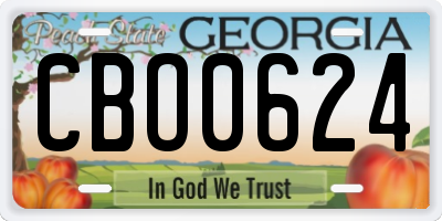 GA license plate CBO0624