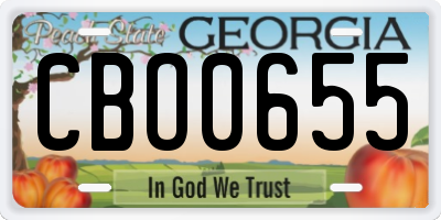 GA license plate CBO0655