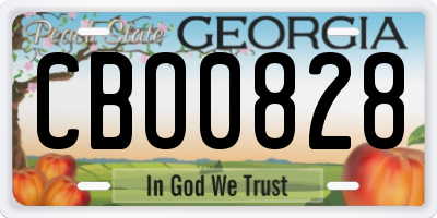 GA license plate CBO0828