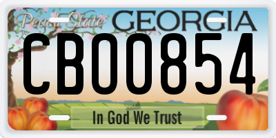 GA license plate CBO0854