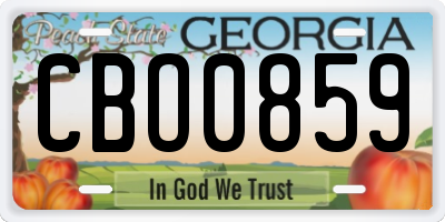 GA license plate CBO0859