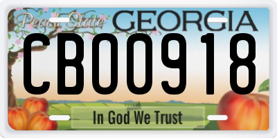 GA license plate CBO0918