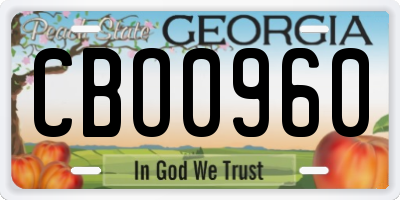 GA license plate CBO0960