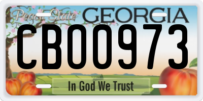 GA license plate CBO0973