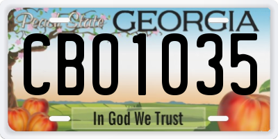 GA license plate CBO1035