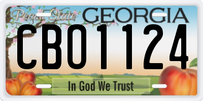 GA license plate CBO1124