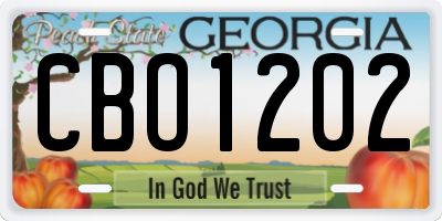 GA license plate CBO1202