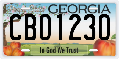 GA license plate CBO1230