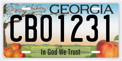 GA license plate CBO1231