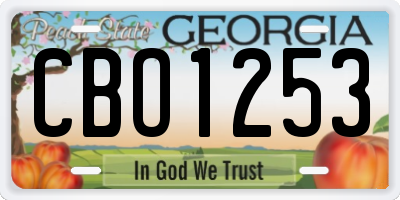 GA license plate CBO1253