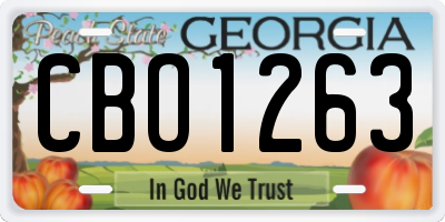 GA license plate CBO1263