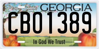 GA license plate CBO1389
