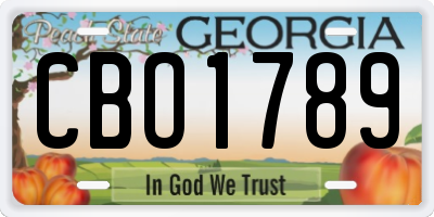 GA license plate CBO1789