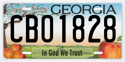 GA license plate CBO1828