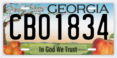 GA license plate CBO1834