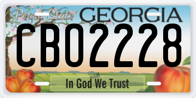 GA license plate CBO2228