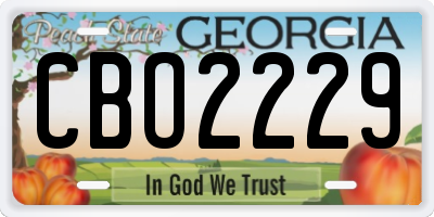 GA license plate CBO2229
