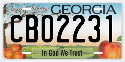 GA license plate CBO2231
