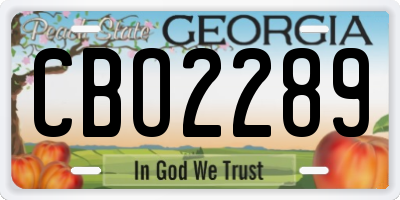 GA license plate CBO2289