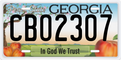 GA license plate CBO2307