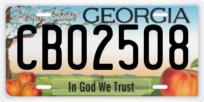 GA license plate CBO2508