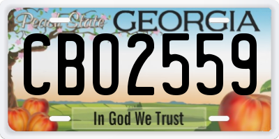 GA license plate CBO2559