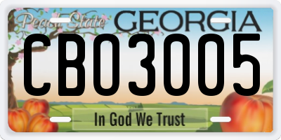 GA license plate CBO3005