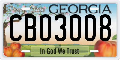 GA license plate CBO3008