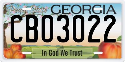 GA license plate CBO3022