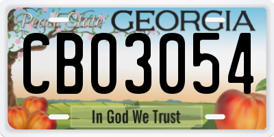 GA license plate CBO3054
