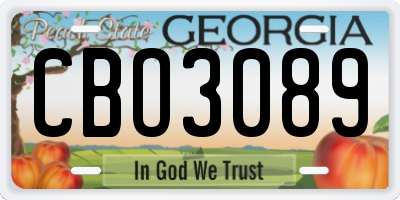 GA license plate CBO3089