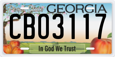 GA license plate CBO3117