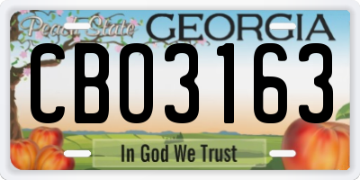 GA license plate CBO3163