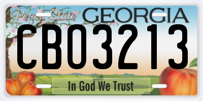 GA license plate CBO3213