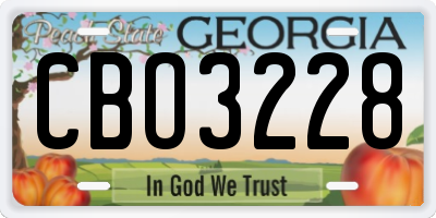 GA license plate CBO3228