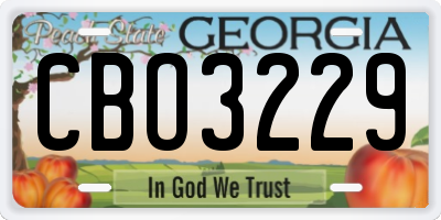 GA license plate CBO3229