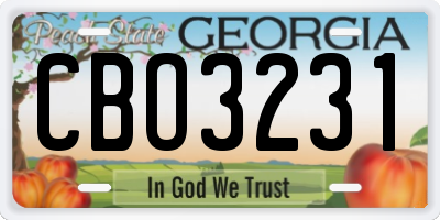 GA license plate CBO3231