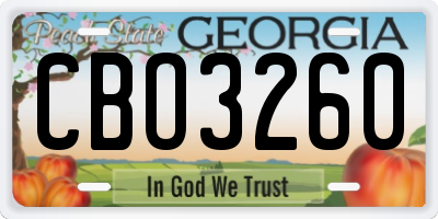GA license plate CBO3260