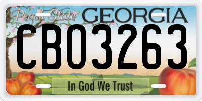 GA license plate CBO3263